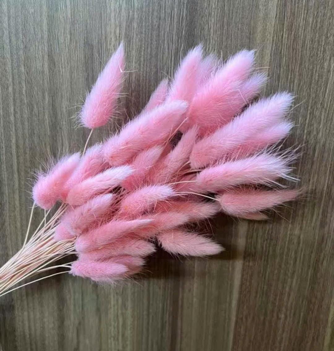 WhatsApp Image 2025-11-15 at 3.45.52 PM