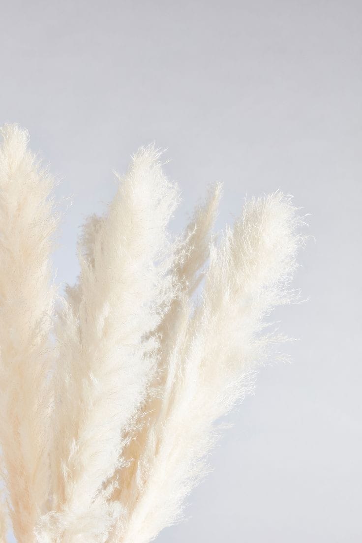 WhatsApp Image 2024-07-04 at 11.57.21 AM (1)