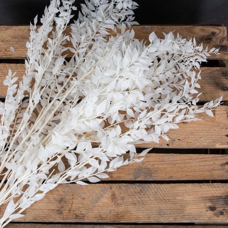 bakewareind-dried-ruscus-grass-cake-decorating-2903346