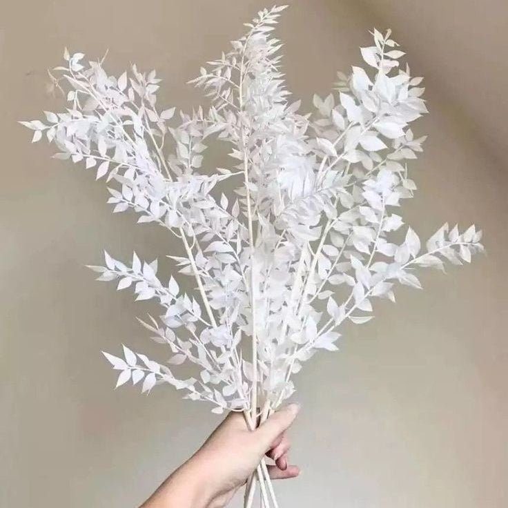 bakewareind-dried-ruscus-grass-cake-decorating-3312032