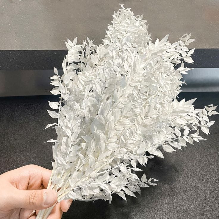 bakewareind-dried-ruscus-grass-cake-decorating-3346075