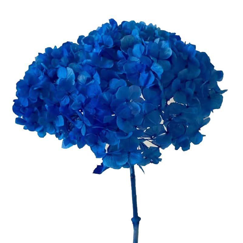 WhatsApp Image 2025-02-06 at 3.25.18 PM (1)