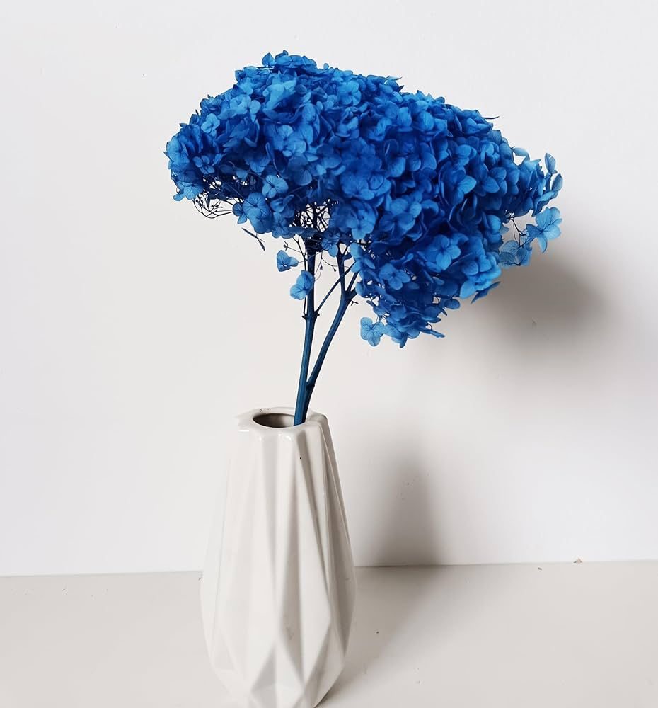 WhatsApp Image 2025-02-06 at 3.25.18 PM (2)