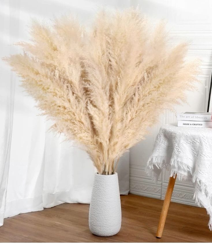 WhatsAppImage2024-10-25at1.57.28PM_1