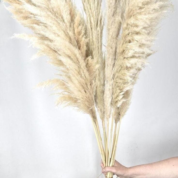 WhatsAppImage2024-10-25at1.57.28PM_2