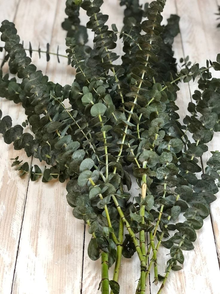 WhatsAppImage2025-01-16at12.58.28PM_1