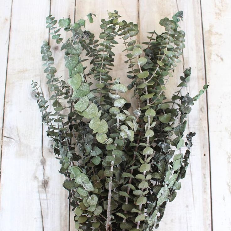 WhatsAppImage2025-01-16at12.58.29PM