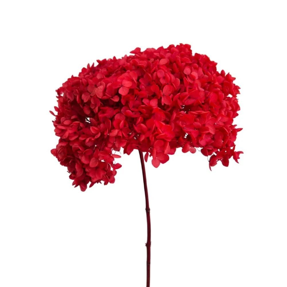 WhatsApp Image 2025-02-06 at 3.25.18 PM