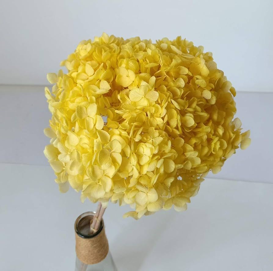 WhatsApp Image 2025-02-06 at 3.25.21 PM