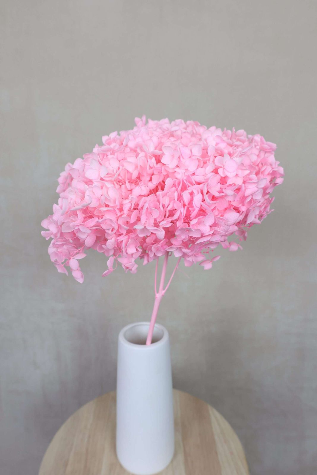 WhatsApp Image 2025-02-06 at 3.26.46 PM (3)