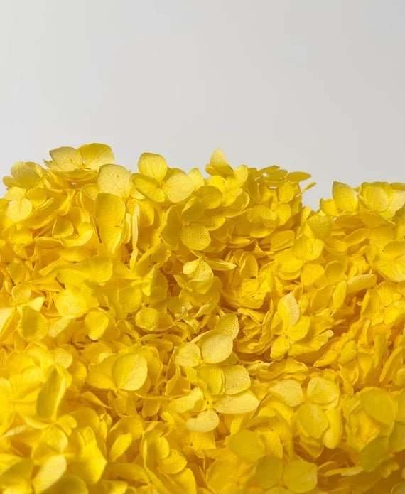 bakewareind-dried-hydrangeas-leaves-preserved-golden-yellow-7680153