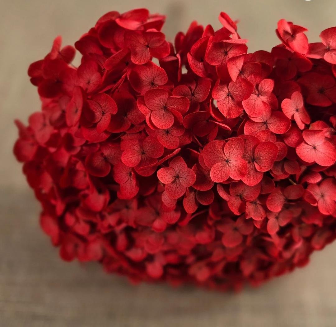bakewareind-dried-hydrangeas-leaves-preserved-red-6054030