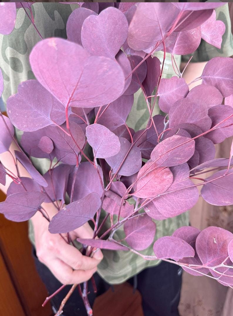 WhatsApp Image 2025-03-12 at 2.48.07 PM (1)