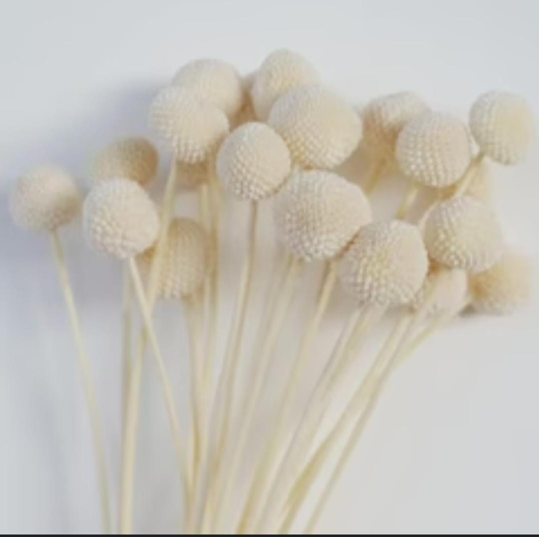 WhatsAppImage2025-01-16at12.58.11PM_2