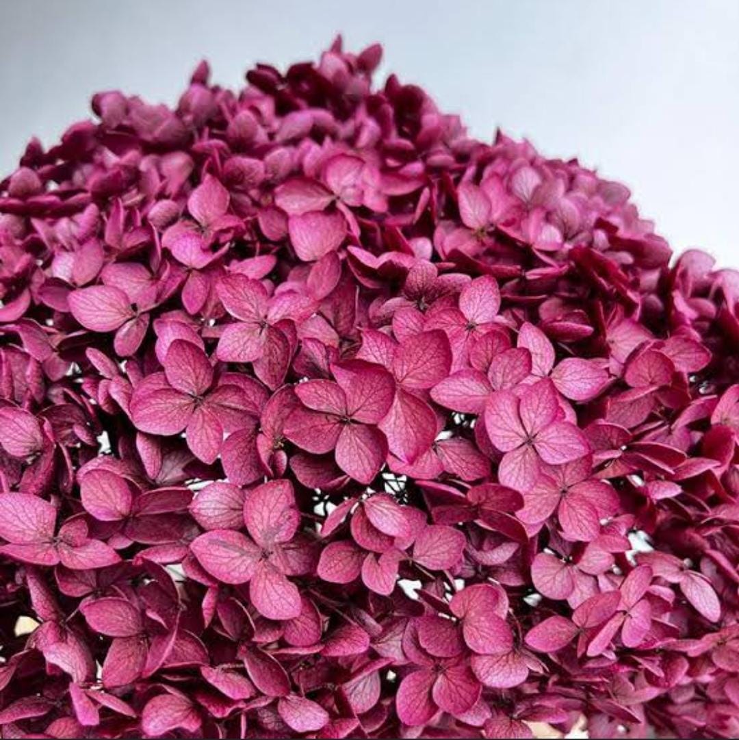 WhatsAppImage2025-01-16at12.58.14PM