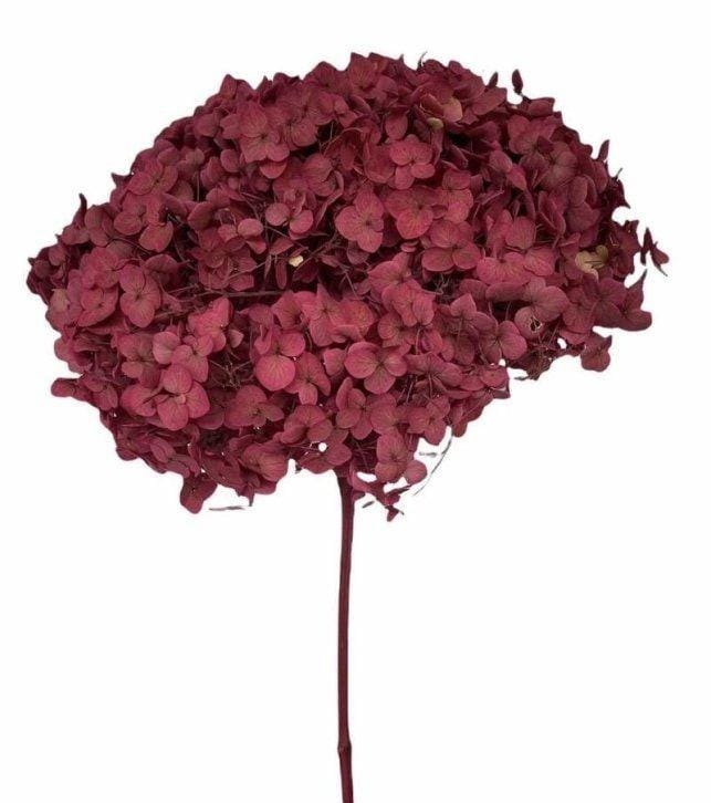 WhatsAppImage2025-01-16at12.58.18PM_2