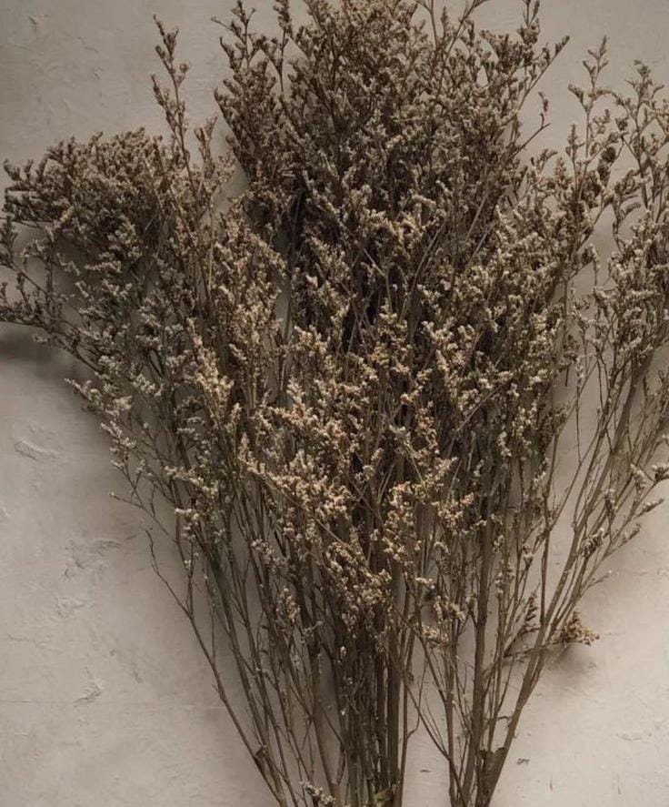 WhatsAppImage2025-01-16at12.58.26PM_2