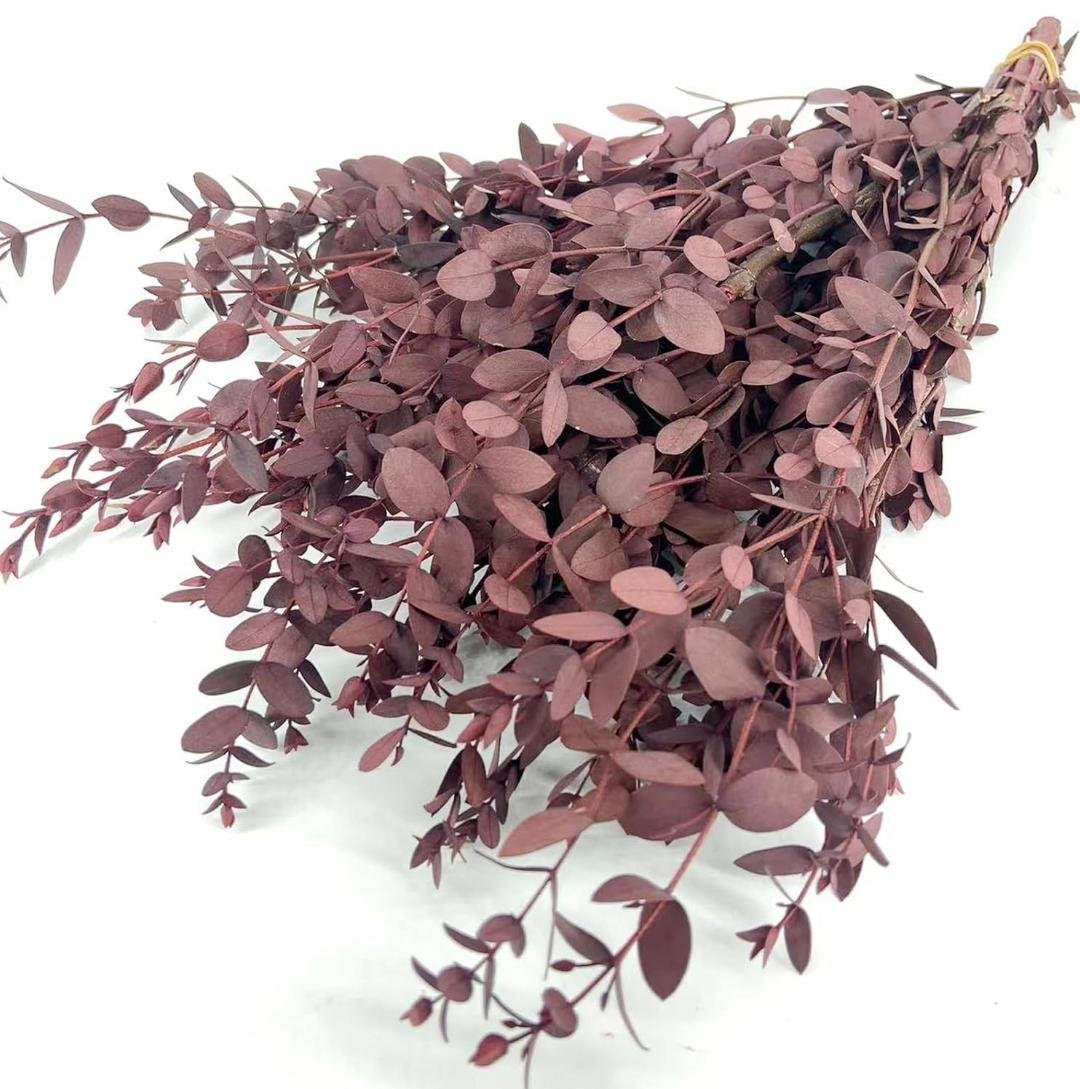 bakewareind-dried-dollar-eucalyptus-leaves-preserved-red-3124740