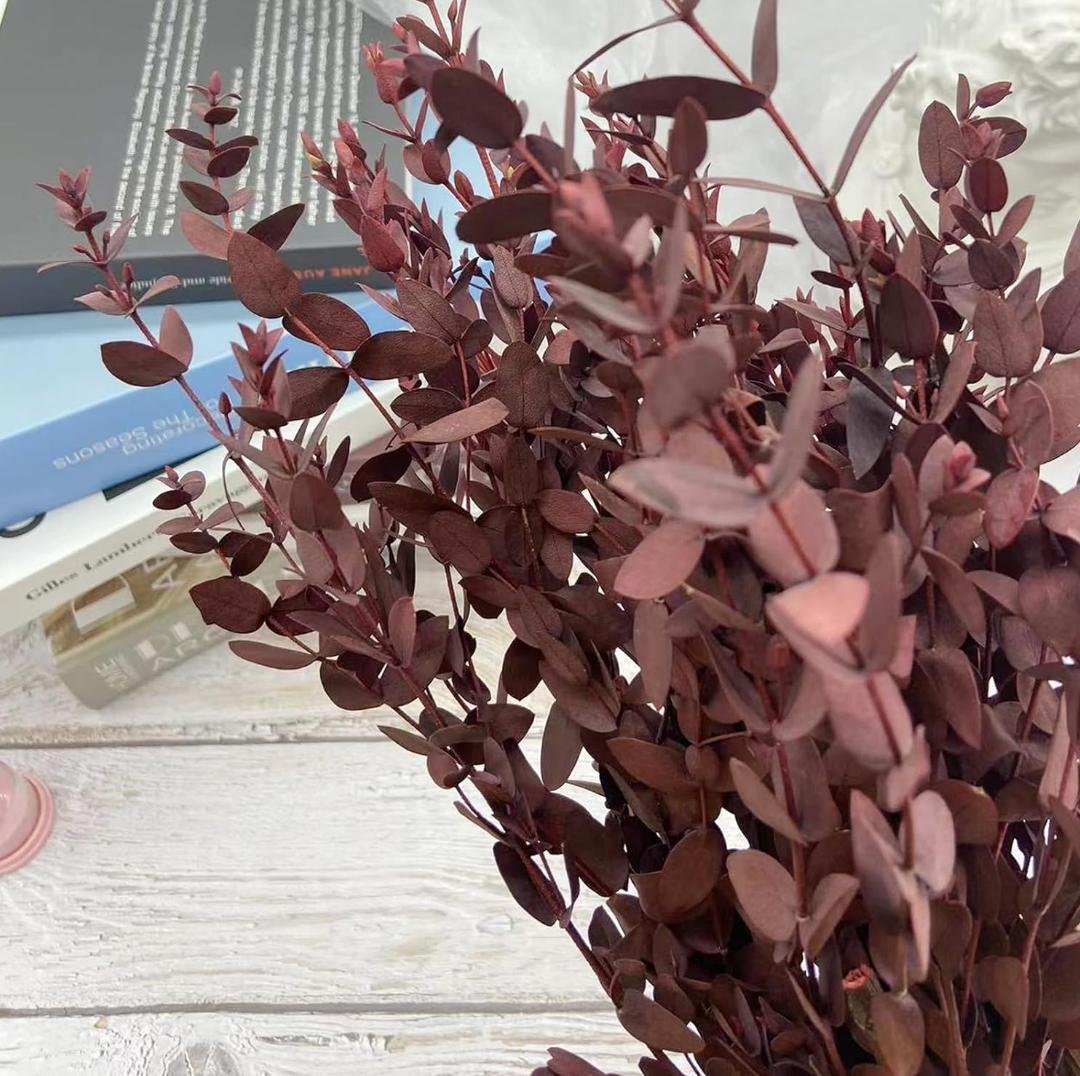 bakewareind-dried-dollar-eucalyptus-leaves-preserved-red-9007874