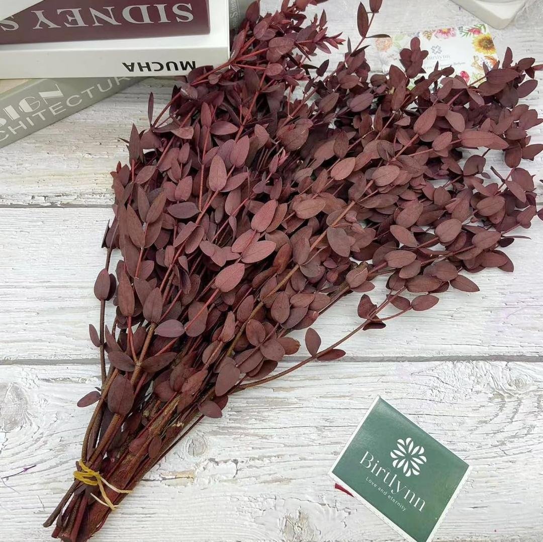 bakewareind-dried-dollar-eucalyptus-leaves-preserved-red-9219627