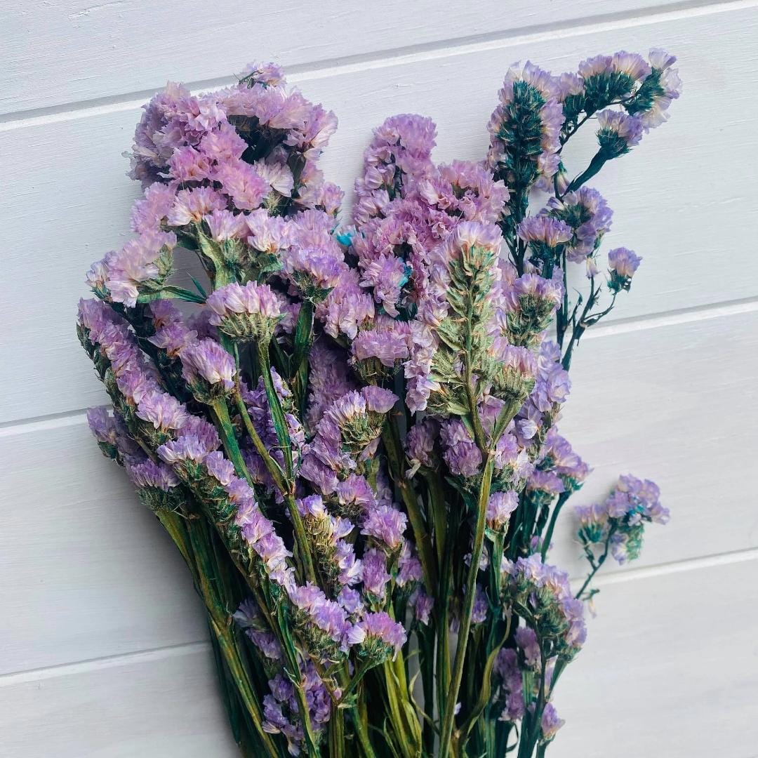 WhatsApp Image 2025-11-15 at 3.36.46 PM (1)