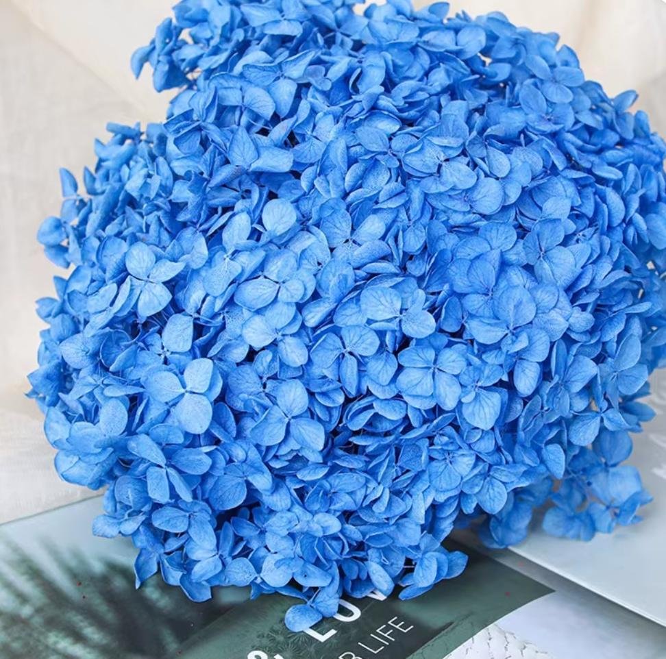 bakewareind-dried-hydrangeas-leaves-preserved-blue-2416983