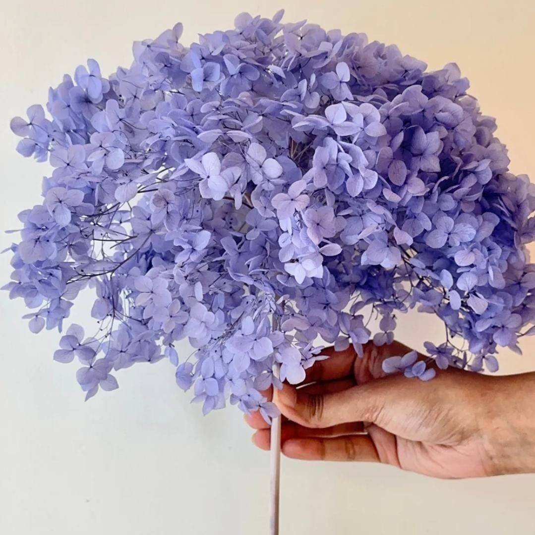 bakewareind-dried-hydrangeas-leaves-preserved-lavender-3751686