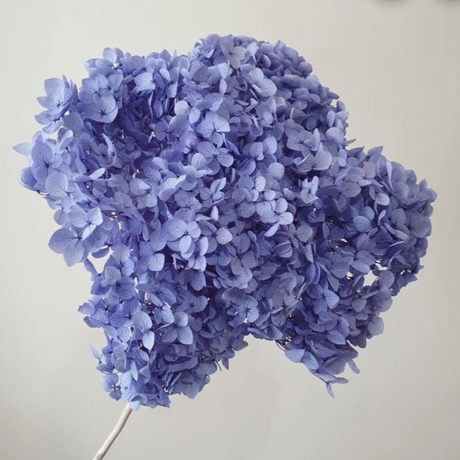 bakewareind-dried-hydrangeas-leaves-preserved-lavender-8526175