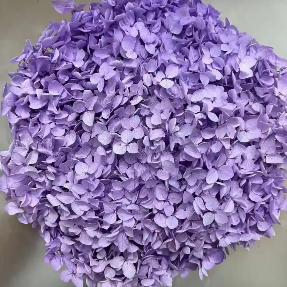 bakewareind-dried-hydrangeas-leaves-preserved-lilac-6446160