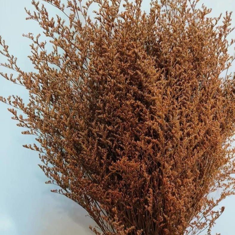 bakewareind-dried-limonium-grass-orange-2568294(1)