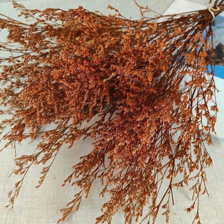 bakewareind-dried-limonium-grass-orange-3112707