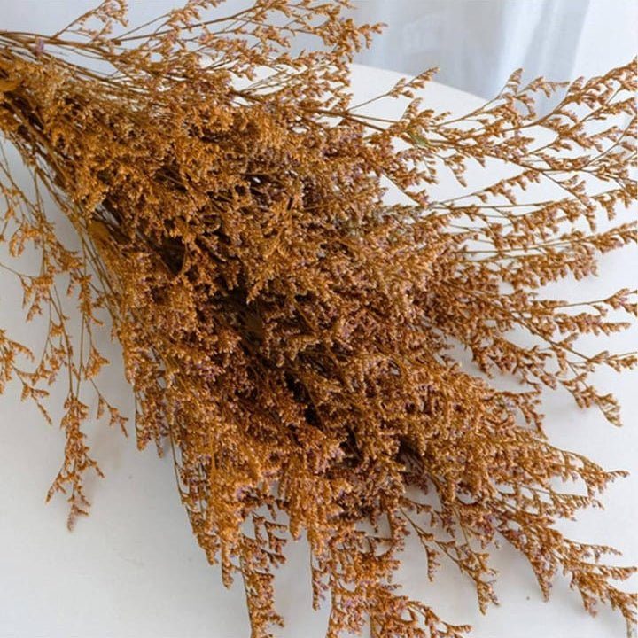 bakewareind-dried-limonium-grass-orange-9033105