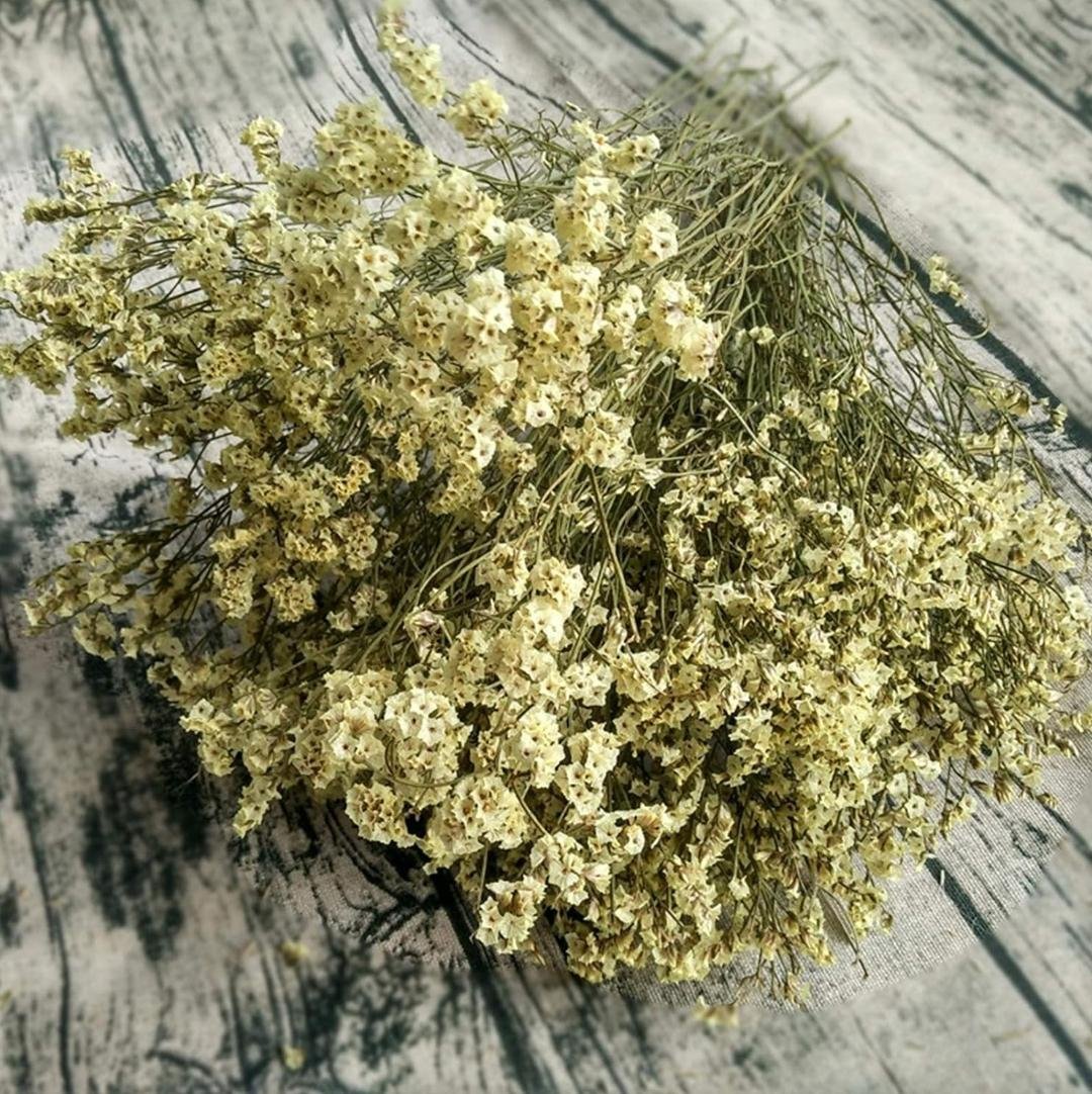 bakewareind-dried-natural-crystal-grass-select-color-6323397