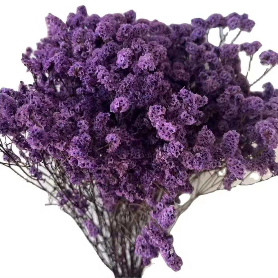 bakewareind-dried-natural-crystal-grass-select-color-8494868