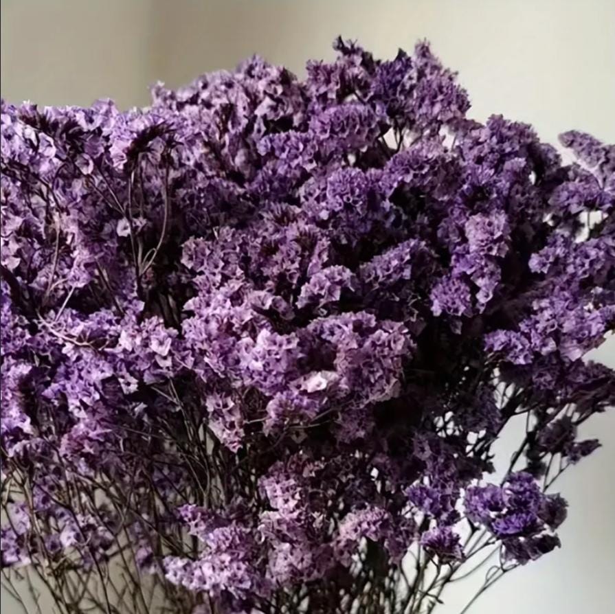 bakewareind-dried-natural-crystal-grass-select-color-9047376