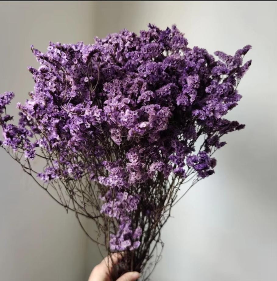 bakewareind-dried-natural-crystal-grass-select-color-9137792