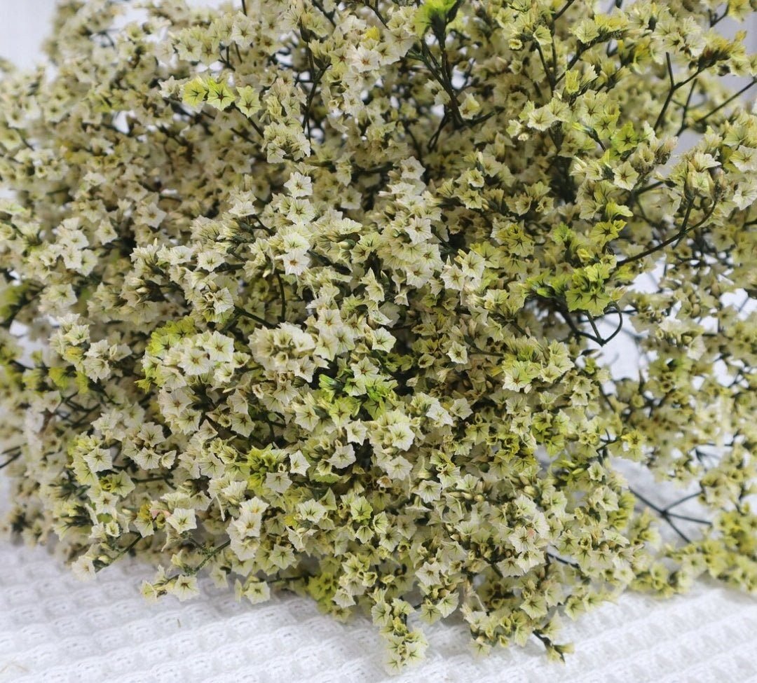 bakewareind-dried-natural-crystal-grass-select-color-9992437