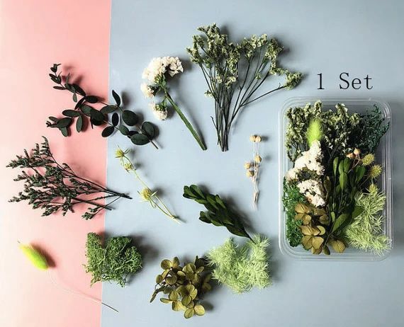 bakewareind-dried-natural-flower-box-select-color-4365922