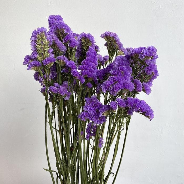 bakewareind-dried-natural-statice-flower-select-color-5022273