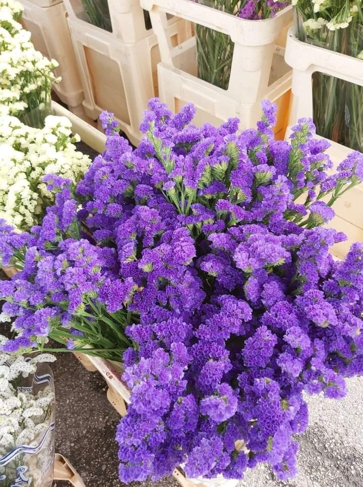 bakewareind-dried-natural-statice-flower-select-color-9750561