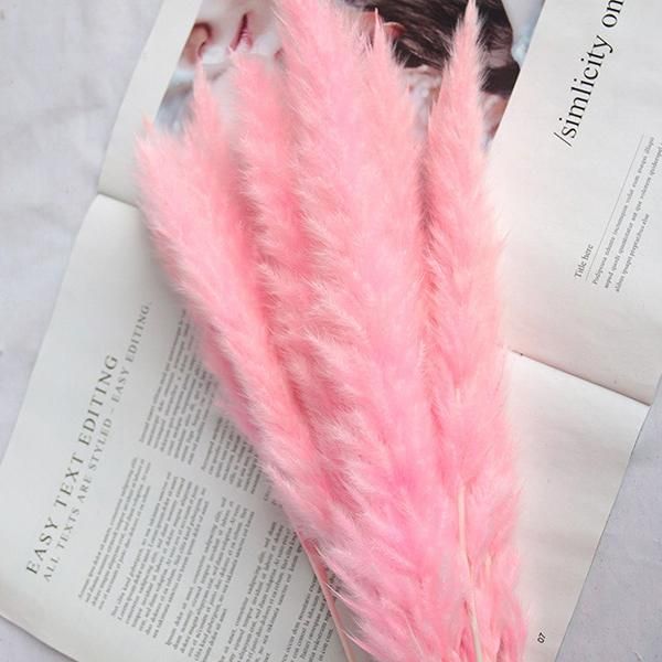 bakewareind-dried-reed-pampass-grass-pink-4258108