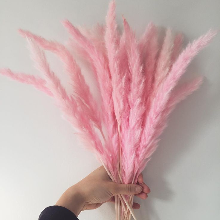 bakewareind-dried-reed-pampass-grass-pink-6145899