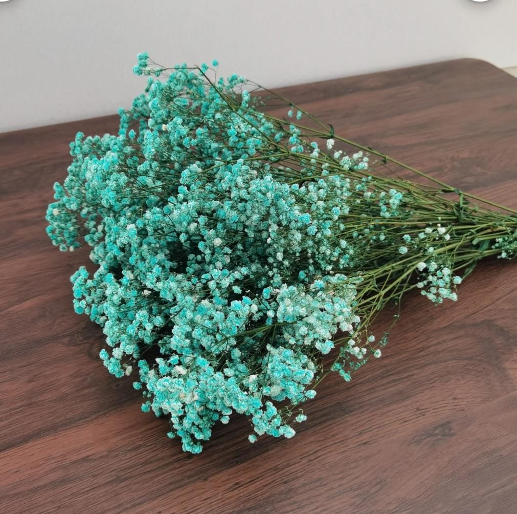 WhatsApp Image 2025-11-15 at 2.26.27 PM (1)