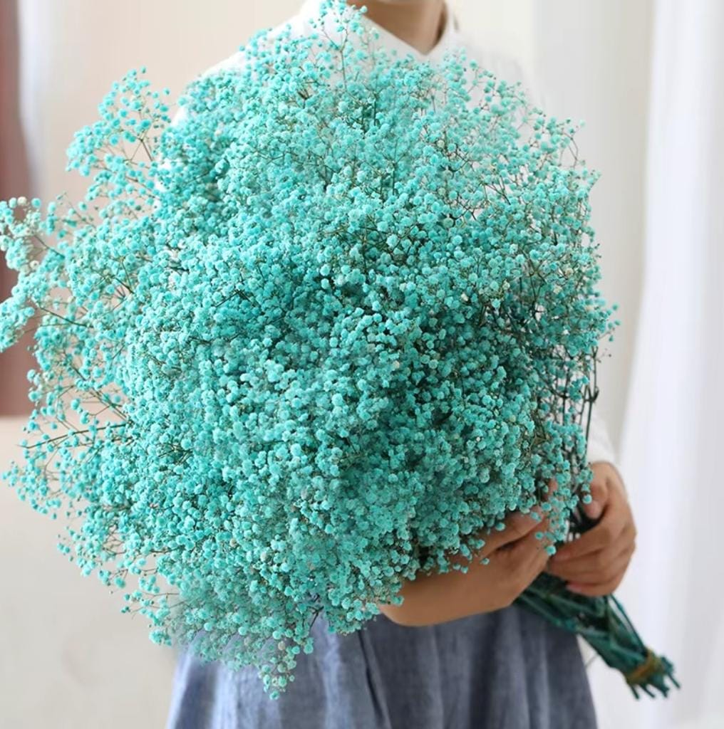 WhatsApp Image 2025-11-15 at 2.26.27 PM