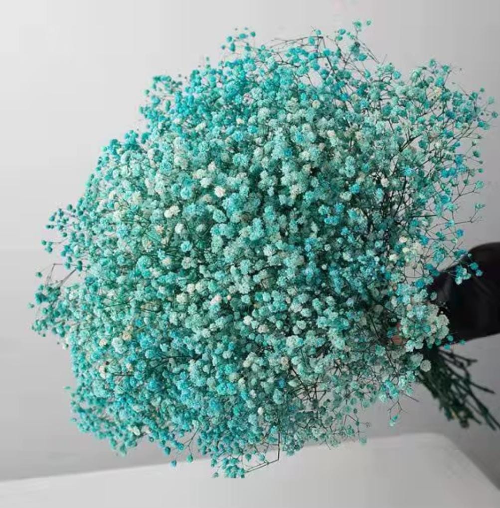 WhatsApp Image 2025-11-15 at 2.26.28 PM