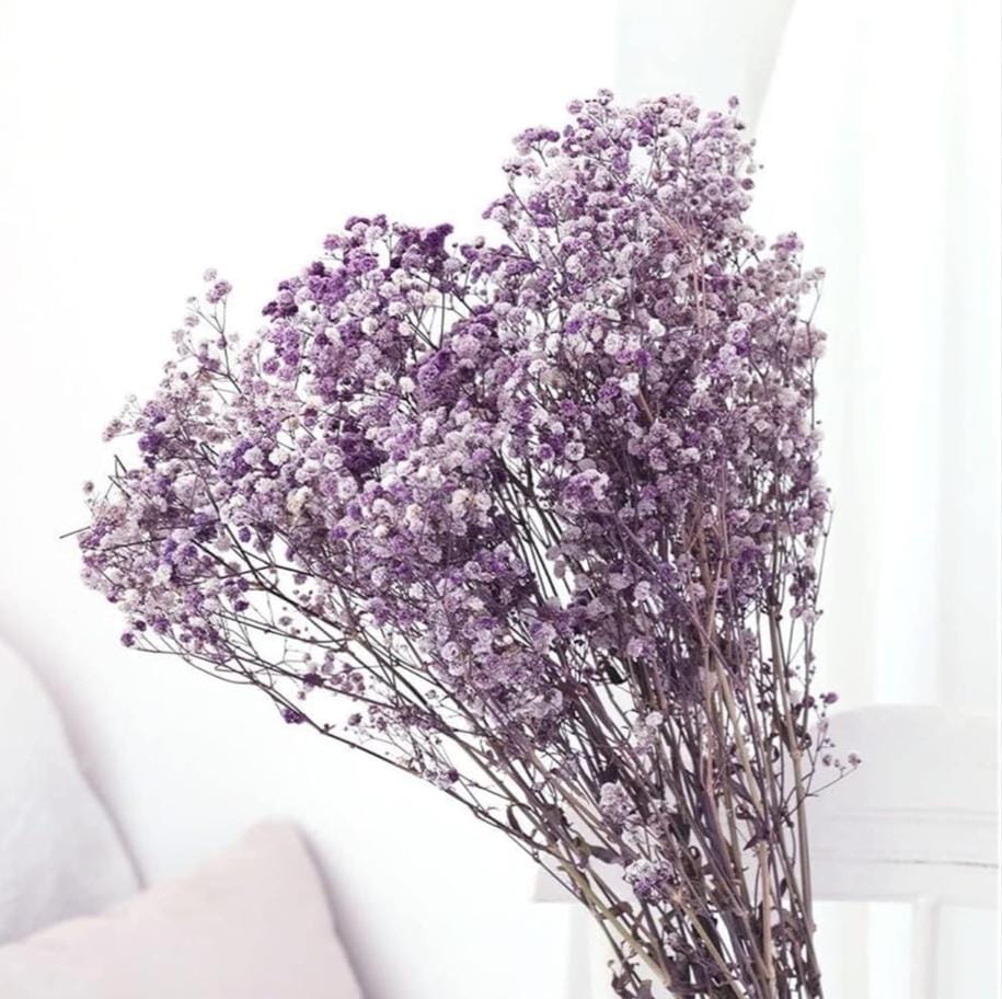 WhatsApp Image 2025-11-15 at 2.32.13 PM