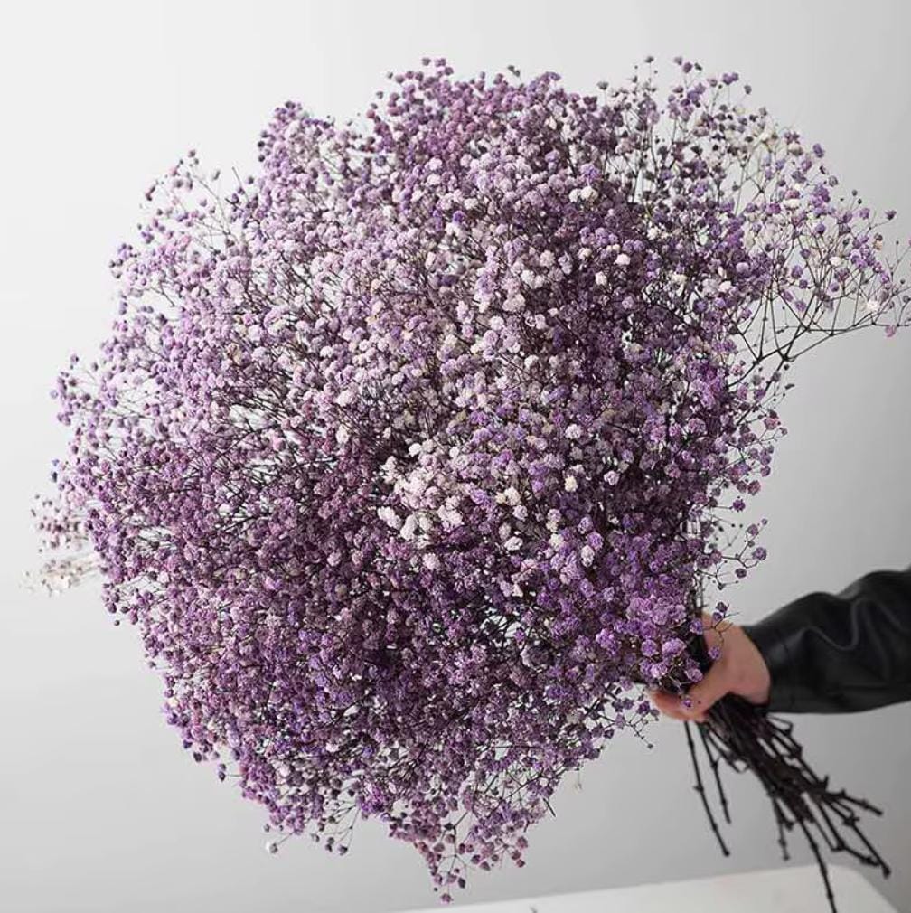 WhatsApp Image 2025-11-15 at 2.32.14 PM (1)