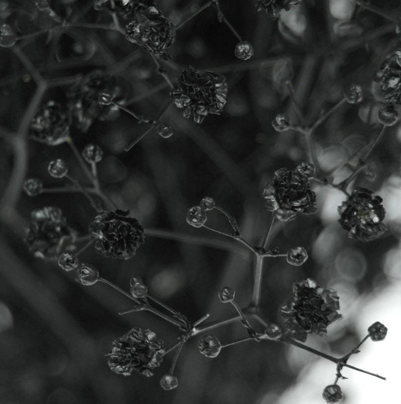 WhatsAppImage2025-10-14at3.22.30PM_1