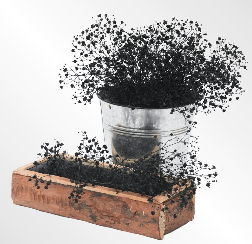 WhatsAppImage2025-10-14at3.22.31PM