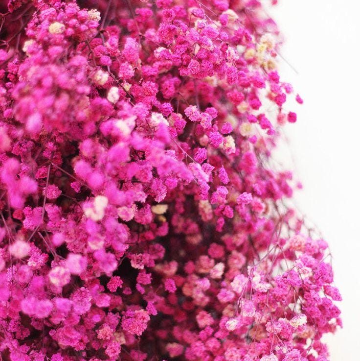 WhatsApp_Image_2025-11-15_at_3.20.25_PM